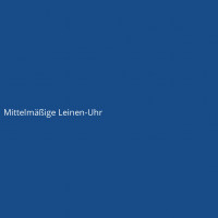 Mittelm&auml;&szlig;ige Leinen-Uhr