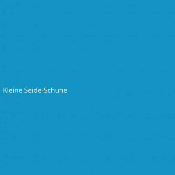 Kleine Seide-Schuhe