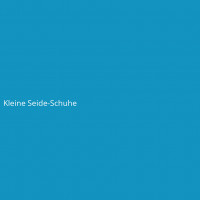 Kleine Seide-Schuhe